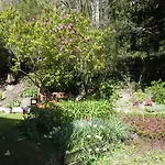 Apartman Monika Dieppe